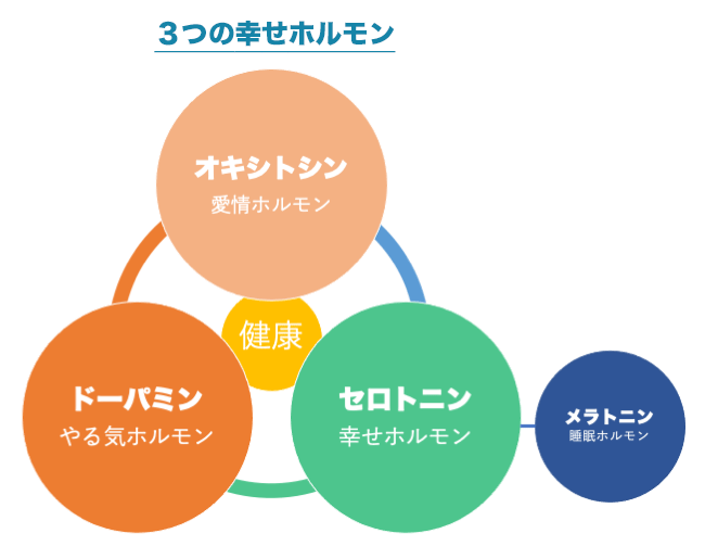 ３つの幸せホルモン「オシキシトン」「セロトニン」「ドーパミン」の図